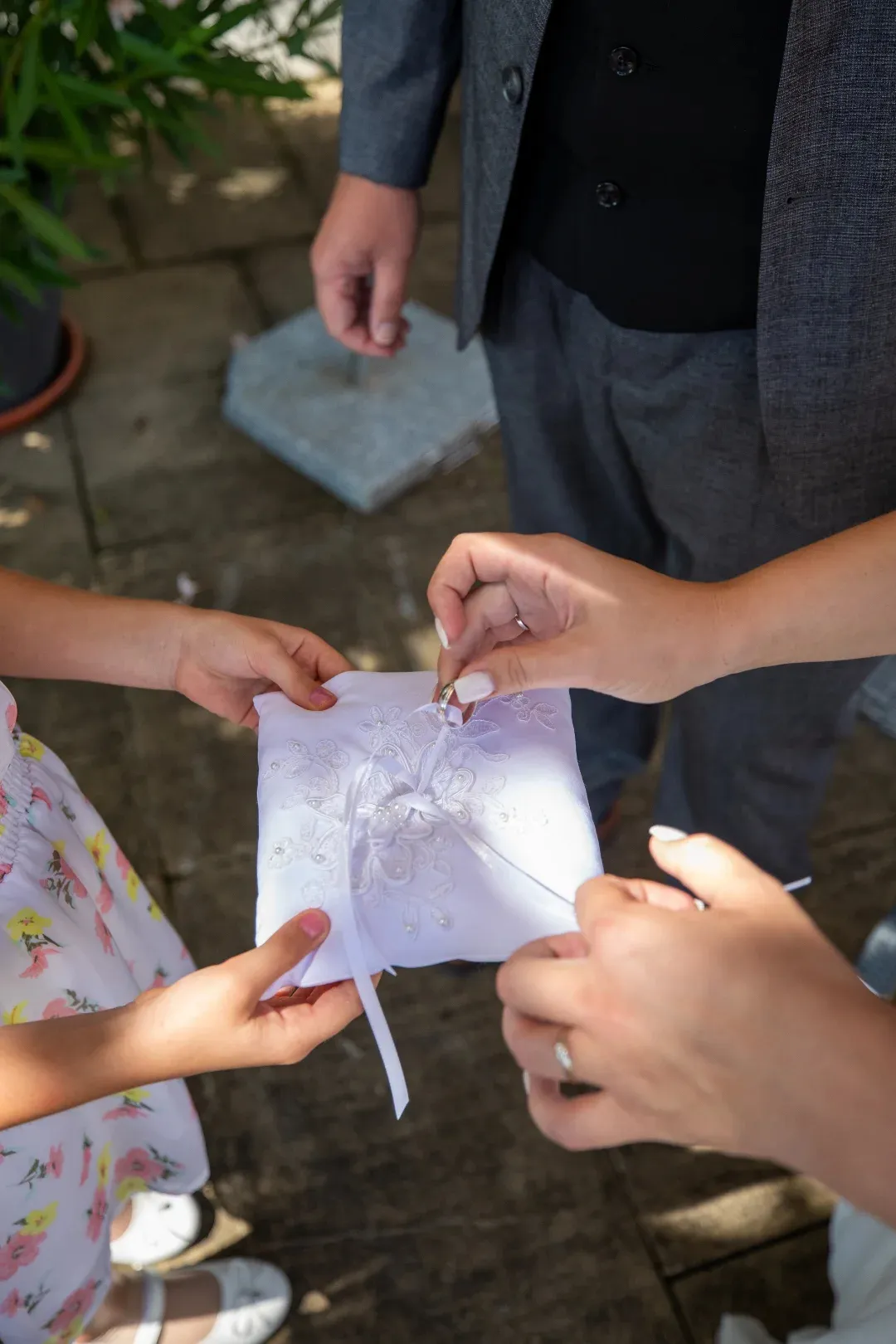 Steve Photography – JPEG Bild 112 ergebnis